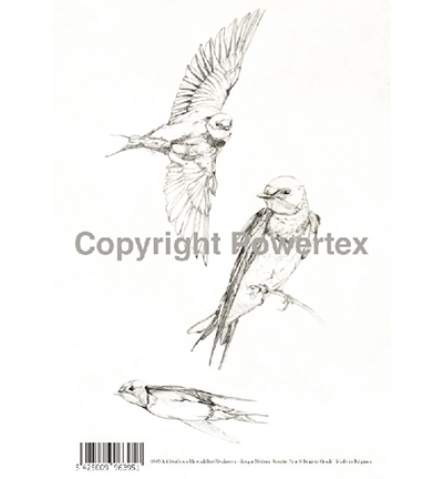 395 - Powertex - Swallows