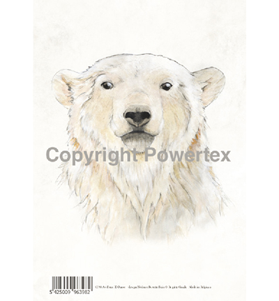 398 - Powertex - Bear colour