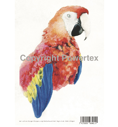 401 - Powertex - Parrot