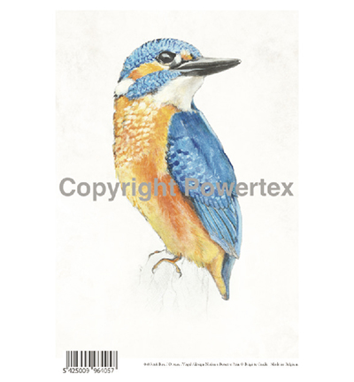 405 - Powertex - Bird Colour