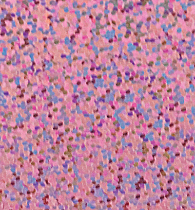 6205.905 - Starform - Holographic Pink