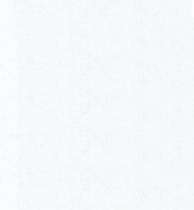 118.101 - Le Suh - (10) intissue toile d\araignée blanche