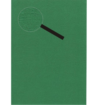 412747 - Le Suh - Papier cartonné Santana Vert
