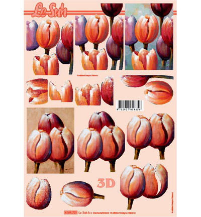 4169.701 - Le Suh - tulipe, fleur, printemps