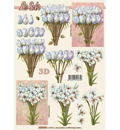 4169.764 - Le Suh - rose, iris, fleur