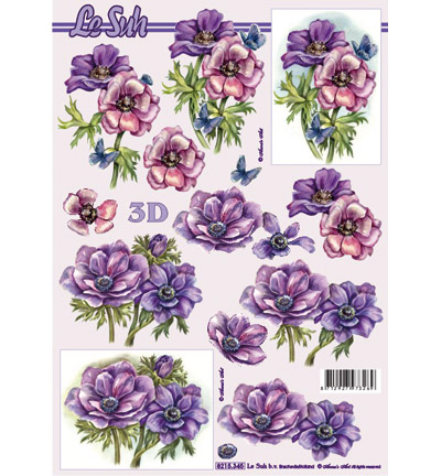 8215.345 - Le Suh - annemone, flower, purple