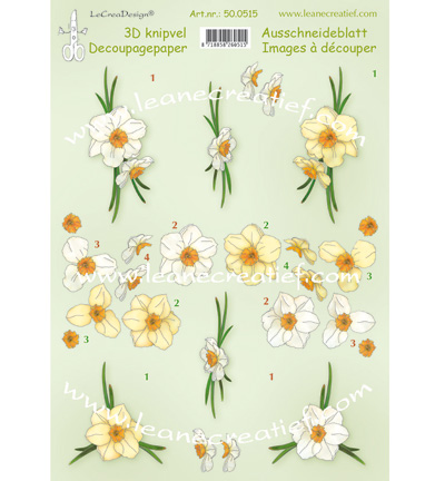 50.0515 - Leane Creatief - Daffodils