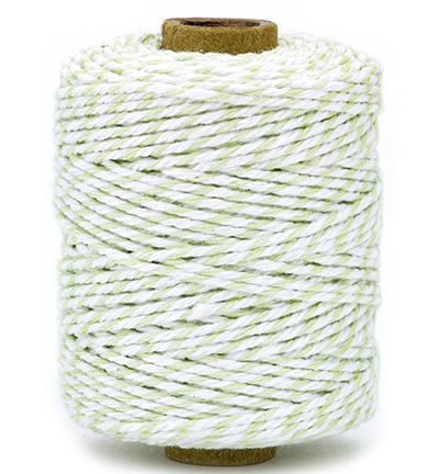 1047.5002.61 - Vivant - Cotton Twine cord, menthe