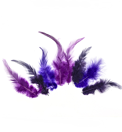 12235-3504 - Hobby Crafting Fun - Feathers, Purple