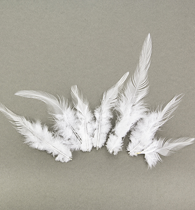 12235-3509 - Hobby Crafting Fun - Feathers, Pure White