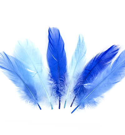 12238-3802 - Hobby Crafting Fun - Feathers, Blue