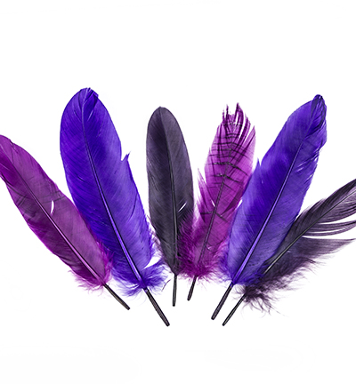 12238-3804 - Hobby Crafting Fun - Feathers, Purple