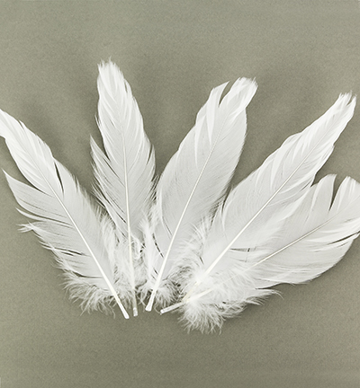 12238-3809 - Hobby Crafting Fun - Feathers, Pure White