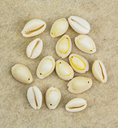 12454-5411 - Hobby Crafting Fun - Cowrie Shells w. 1 Hole, Natural