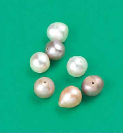 12019-0004 - Hobby Crafting Fun - Fresh water pearls, Cream