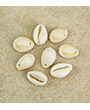 88295 - Cowrie Shells w. 1 Hole, Natural