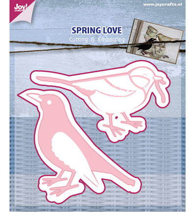 6002/0440 - Joy!Crafts - Spring Love