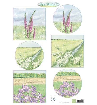 IT602 - Marianne Design - Tinys flower meadow 2