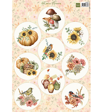 VK9637 - Marianne Design - Autumn Flowers