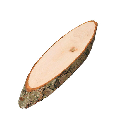 C2132-21 - Stafil - Wooden disk with bark
