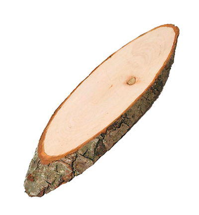 C2132-22 - Stafil - Wooden disk with bark