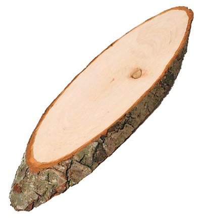 C2132-23 - Stafil - Disque en bois avec écorce