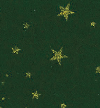 250177-12 - Stafil - Felt glitter stars, Dark Green