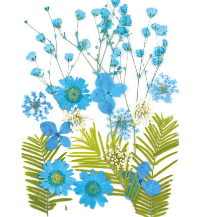 8710-06 - Stafil - Dry pressed flowers, Blue