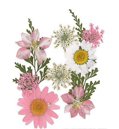 8712-03 - Stafil - Dry pressed flowers, Light Pink