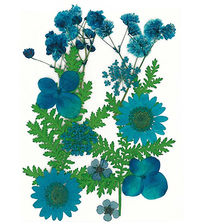 8712-06 - Stafil - Dry pressed flowers, Blue