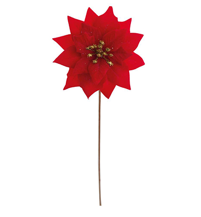 4903-01 - Stafil - Poinsettia rouge