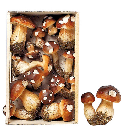 589-13 - Stafil - Mushrooms, assorted