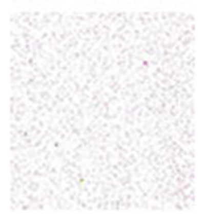 8535-00 - Stafil - Foam, White Glitter