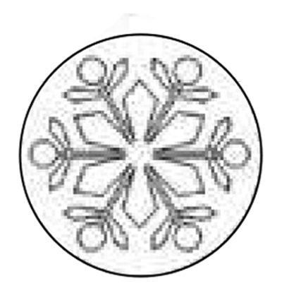 MSH737SNF - Manuscript - Snowflake