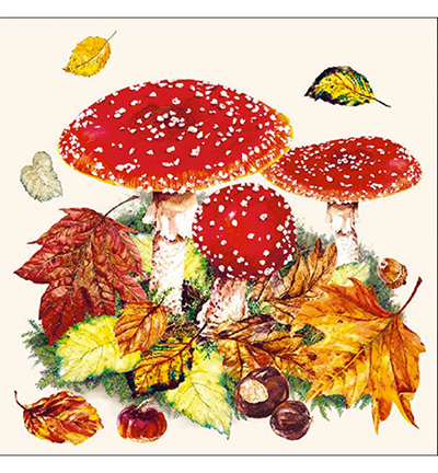 13311025 - Ambiente - Fly Agaric