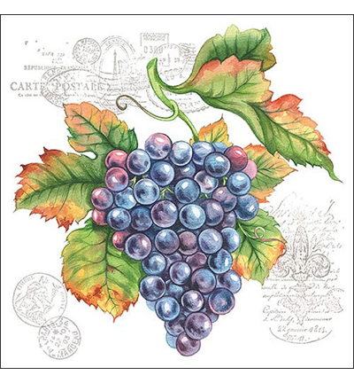 13311100 - Ambiente - Grape Vine