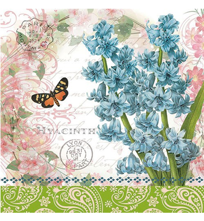 13311190 - Ambiente - Hyacinth