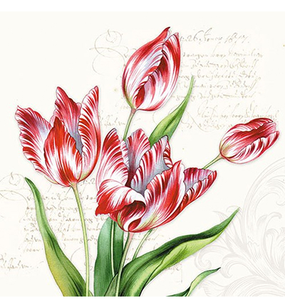 13311205 - Ambiente - Classic Tulips
