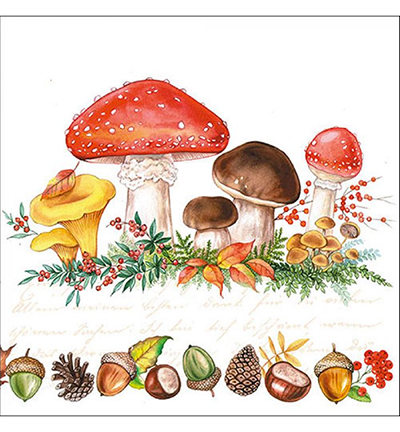 13312415 - Ambiente - Mushrooms