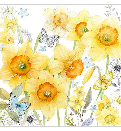 13312690 - Ambiente - Classic Daffodils