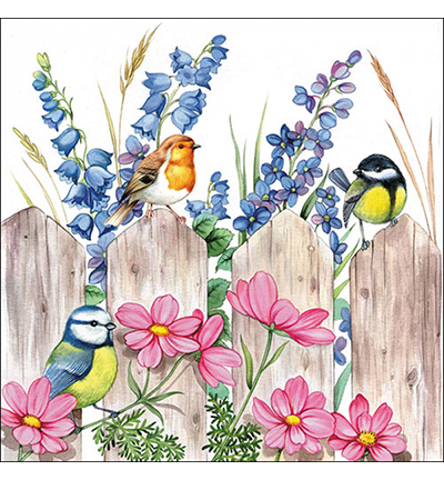 13312720 - Ambiente - Birds on fence