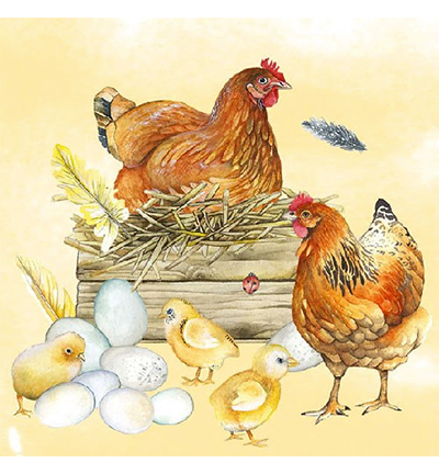 13312820 - Ambiente - Breeding Chicken