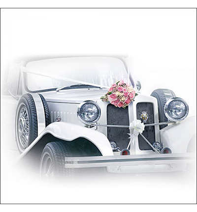 13312990 - Ambiente - Wedding Car