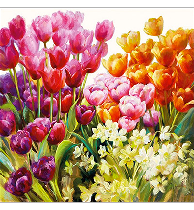 13314960 - Ambiente - Tulips