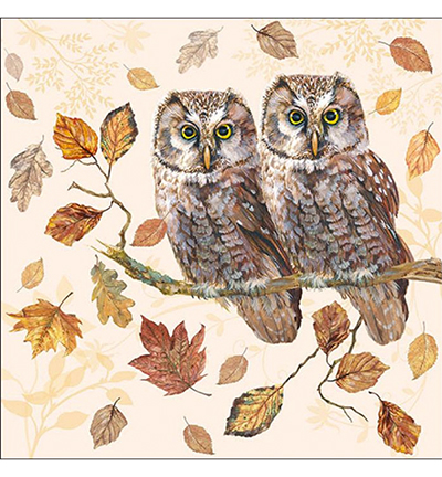 13315460 - Ambiente - Owl Couple