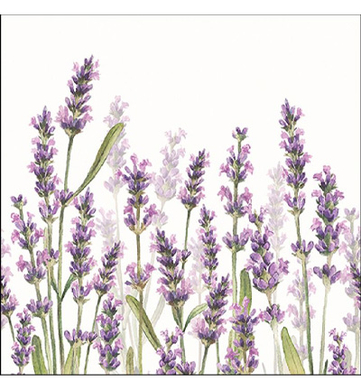 13315985 - Ambiente - Lavender Shades White