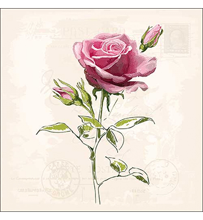 13316360 - Ambiente - Vintage Rose
