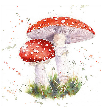 13316715 - Ambiente - Painted fly agaric