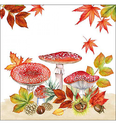 13316745 - Ambiente - Fly agaric group