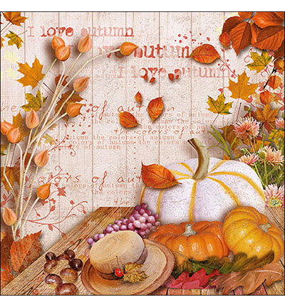 13316835 - Ambiente - Colors of autumn